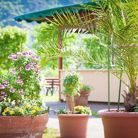 Landgasthof Rebstock Sankt Goar Luaran gambar