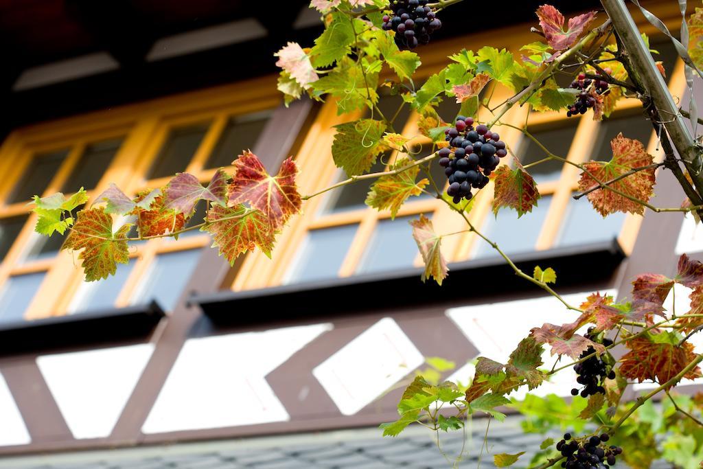 Landgasthof Rebstock Sankt Goar Luaran gambar