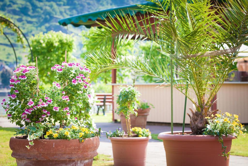 Landgasthof Rebstock Sankt Goar Luaran gambar